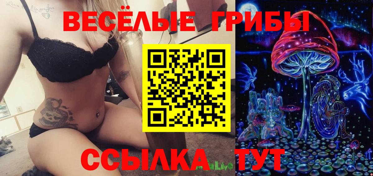 Псилоцибиновые грибы Psilocybine cubensis  Вход с VPN  Псилоцибиновые грибы Cubensis  Тавда 