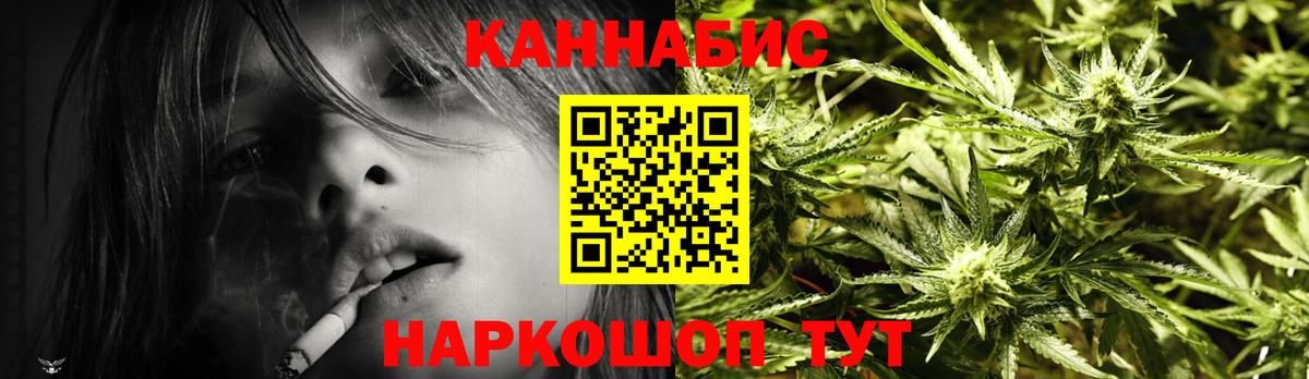 Канабис планчик Тавда